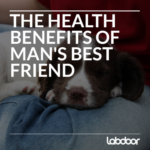 Dogs and Our Health: The Benefits of our Furry Friends