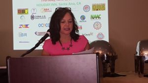 Diversity Business Expo & Mixer 2017