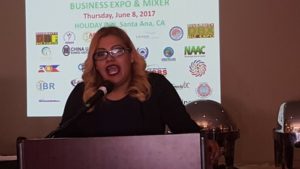 Diversity Business Expo & Mixer 2017