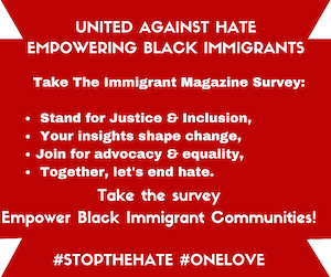 The Immigrant Magazine Survey: Stand for Justice & Inclusion