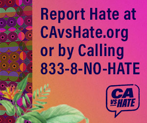 USE YOUR VOICE. REPORT HATE.