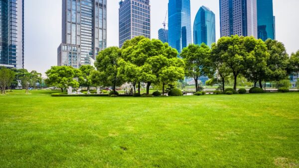 How Green is My City? How Trees and Parks Add Years to Longevity