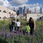 Greening Los Angeles Schools: Transforming Asphalt into Green Havens for Education and Community Health
