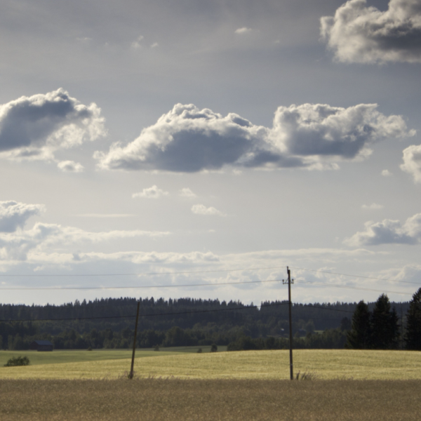 How Alzheimer's Patients Access Care in Rural Communities: Overcoming Barriers and Enhancing Support