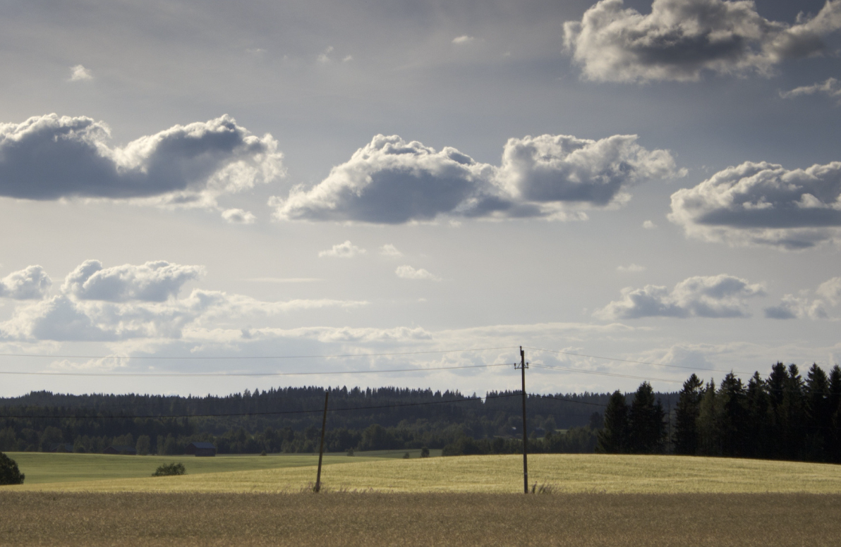 How Alzheimer's Patients Access Care in Rural Communities: Overcoming Barriers and Enhancing Support