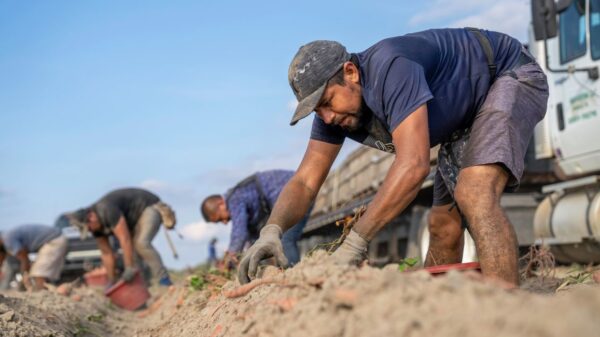 ‘We Didn’t Come Here to Cause Harm’: Confronting Anti-Immigrant Rhetoric and Its Impact on Migrant Workers