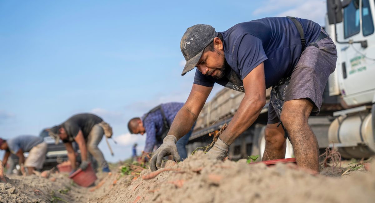 ‘We Didn’t Come Here to Cause Harm’: Confronting Anti-Immigrant Rhetoric and Its Impact on Migrant Workers