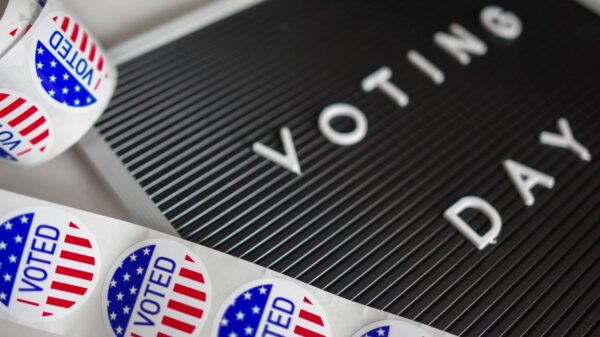 2024 Election Insights: Key Voter Trends, Immigration Impact, Women's Vote, and Political Violence Explained