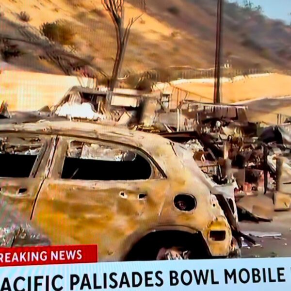 Essential Resources for Southern California Wildfire Preparedness and Reporting