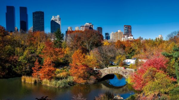 How Urban Parks Are Uniting Divided Cities: Insights from the 2025 ParkScore Report