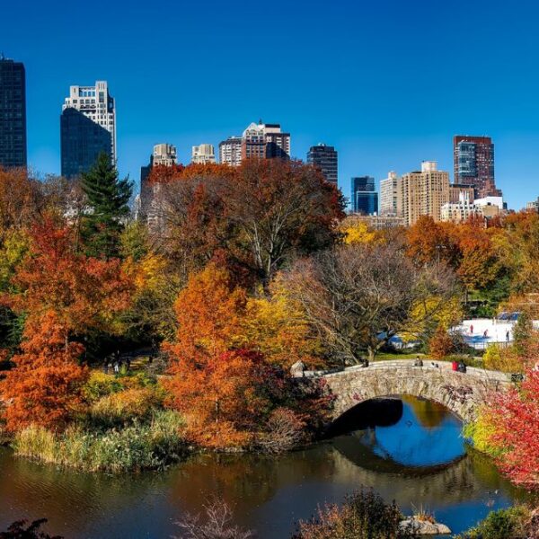 How Urban Parks Are Uniting Divided Cities: Insights from the 2025 ParkScore Report