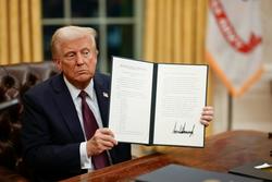 trump immigration actions2 250x167 1