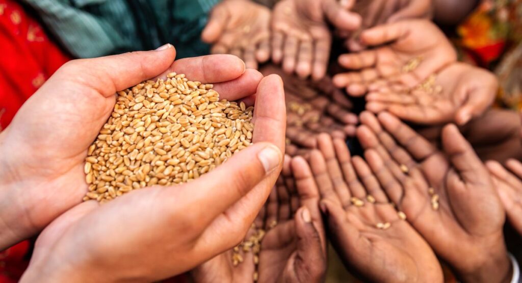 Feeding Gaza’s Children — When Starvation Is a Moral Imperative