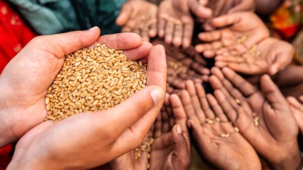 Feeding Gaza’s Children — When Starvation Is a Moral Imperative