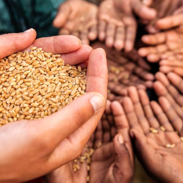 Feeding Gaza’s Children — When Starvation Is a Moral Imperative