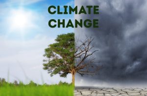Climate Change Left the Headlines—Immigrant Communities Still Feel It