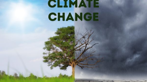 Climate Change Left the Headlines—Immigrant Communities Still Feel It