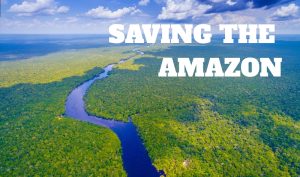 Saving the Amazon: Dr. Rosa Vásquez Espinoza on Indigenous Wisdom and Modern Science