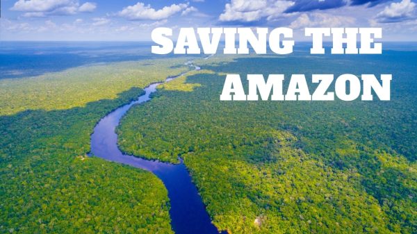 Saving the Amazon: Dr. Rosa Vásquez Espinoza on Indigenous Wisdom and Modern Science