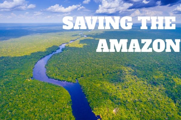 Saving the Amazon: Dr. Rosa Vásquez Espinoza on Indigenous Wisdom and Modern Science