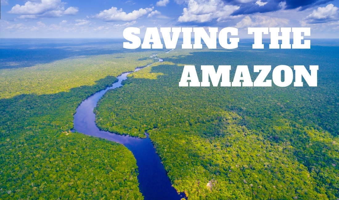 Saving the Amazon: Dr. Rosa Vásquez Espinoza on Indigenous Wisdom and Modern Science